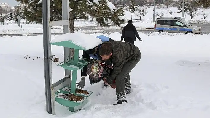 Sokak hayvanları unutulmadı
