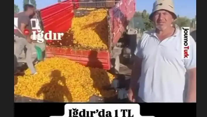 Sosyal medyadaki '1 TL'lik kayısı' iddiasına milyonluk ceza!