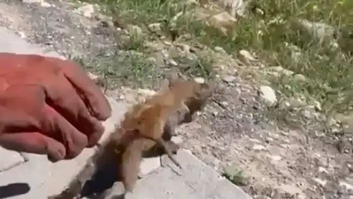 Su giderine sıkıştı