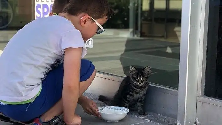 Su giderine sıkışan kediyi çocuklar kurtardı
