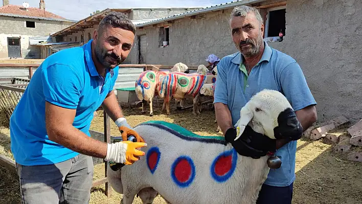 Süsleyip püsleyip sürüye kattılar