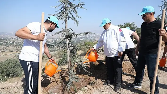 Talas belediye meclis üyeleri Ali Dağı'nda fidan dikti
