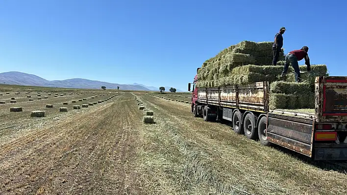 Belediyeden destek! Kayseri'de tam 20 ton dağıtıldı