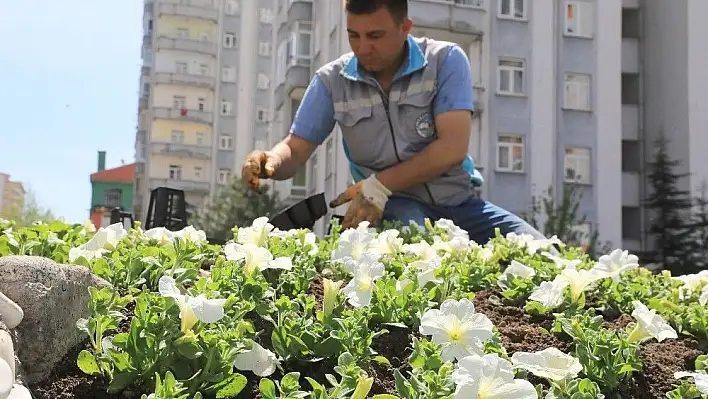 Talas 70 bin çiçek ve 50 bin fidanla süslendi
