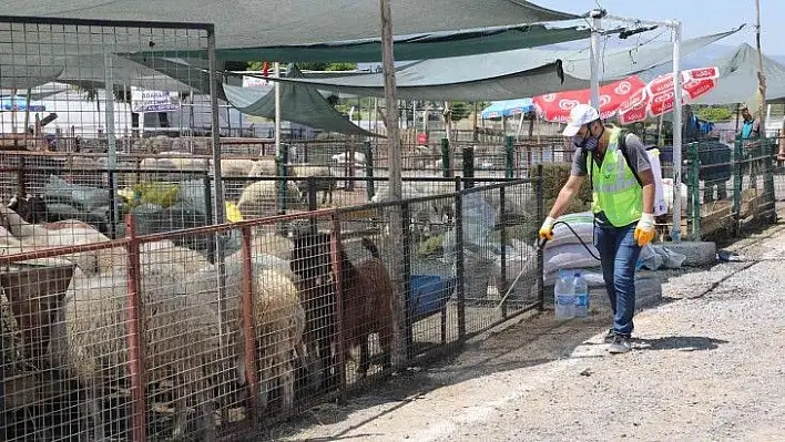 Talas Kurban Pazarında her ayrıntı düşünüldü!