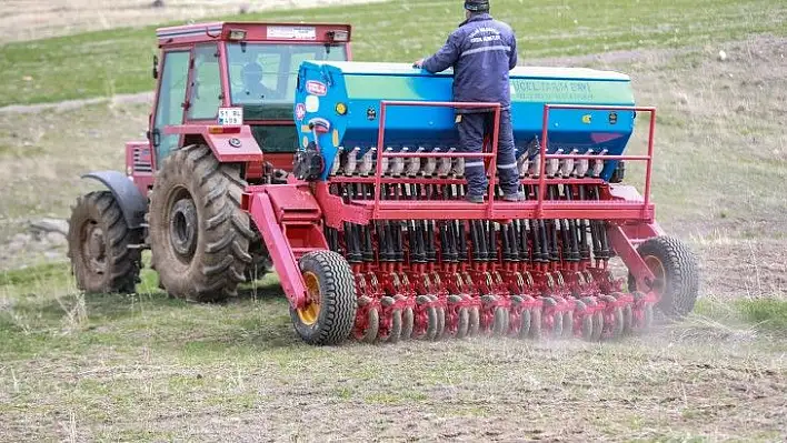 Talas'ta anıza direkt ekim makinesi ile ekimler başladı