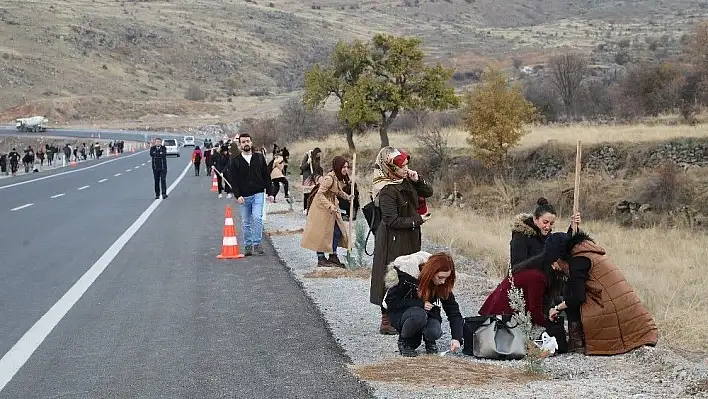 Talas'ta çevre için fidan dikimi