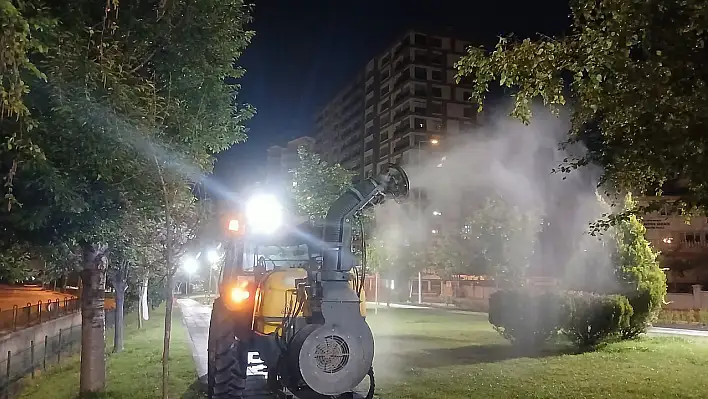 Talas'ta haşereyle mücadele sürüyor