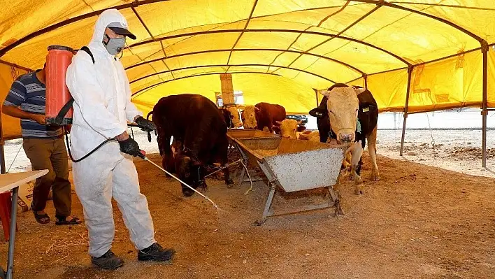 Talas'ta kurban pazar yerleri ilaçlandı