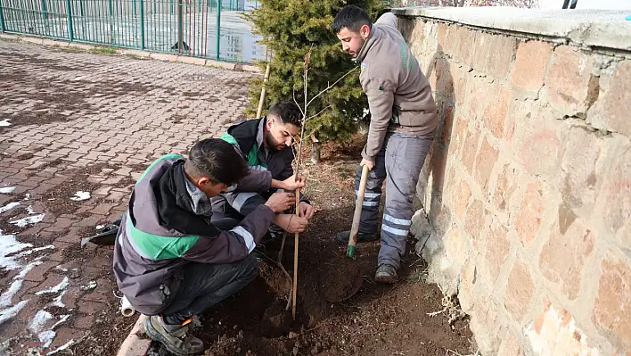 Talas'ta sağlık ocağı, okul ve cami bahçeleri yeşillendirildi