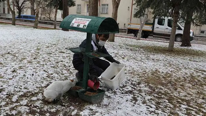 Talas'tan can dostlara şefkat eli