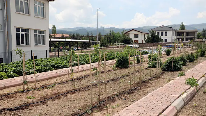 Talas'tan çiftçiler için yeni uygulama