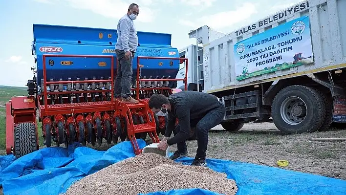 Talas'tan çiftçiye tohum desteği