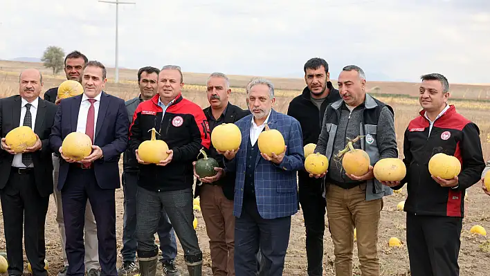 Talaslı çiftçiler Türkiye birincisi oldu! Kaymakam, Müdür ve Başkan'dan tebrik