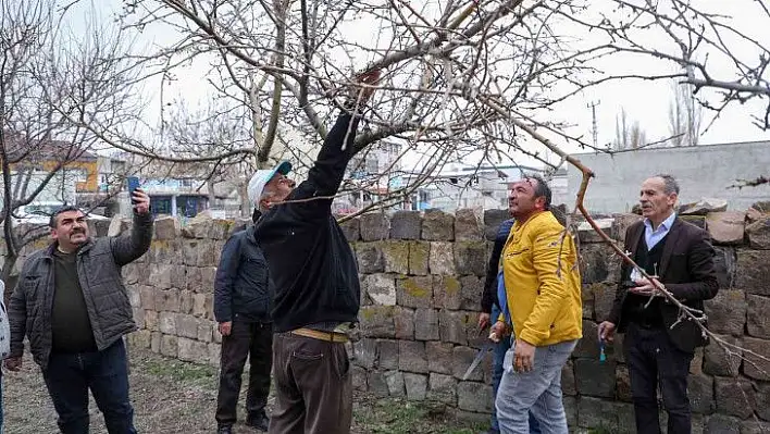 Talaslı çiftçilere uygulamalı eğitimi