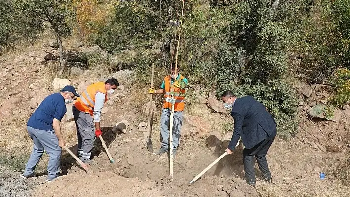 Talaslı Muhtarlar Ali Dağı'na ağaç dikti