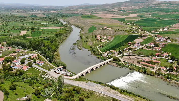 Kayseri'deki tarihi köprü yuva oldu!