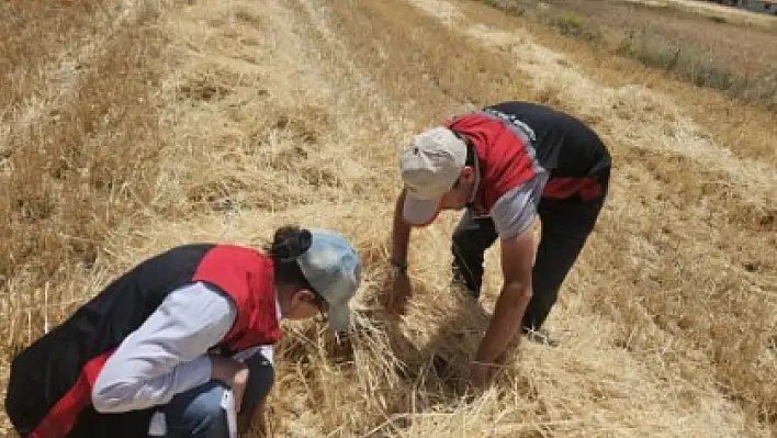 Tarım Müdürlüğü ekipleri sahada