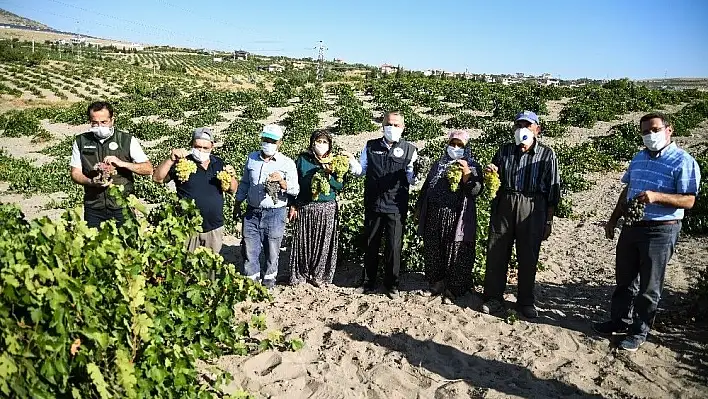 Tarım ve Orman İl Müdürü Mustafa Şahin: 'Kayseri bağcılıkta da olması gereken yere gelecek'