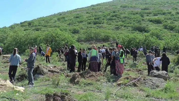 Öğrenciler 280 fidanı toprakla buluşturdu!