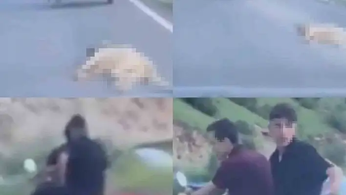 Telef olan köpeği sürükleyen şahsa ceza