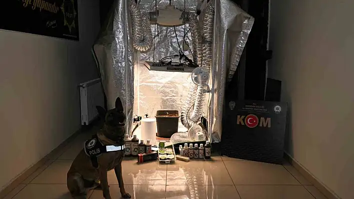 Devlet Hastanesi'nde rüşvet skandalı: 20 Gözaltı