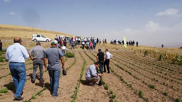 Tıbbi ve Aromatik Bitki Bahçelerinin Tanıtımı Yapıldı