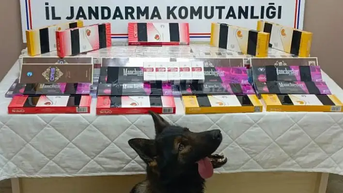 TIR dorsesinden bakın neler yakalandı!