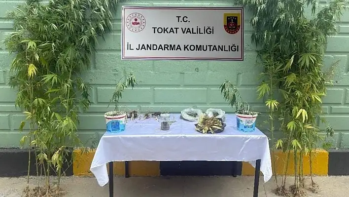 Tokat'ta jandarma ekipleri tarafından 2 ayda 56 kişi hakkında uyuşturucuya bağlı suçlarından işlem yapıldı