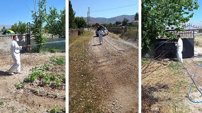 Tomarza Belediyesi, keneyle mücadeleye devam ediyor