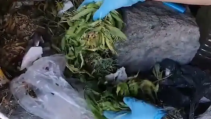 Torbacı operasyonu: Binlerce gram uyuşturucu ele geçirildi