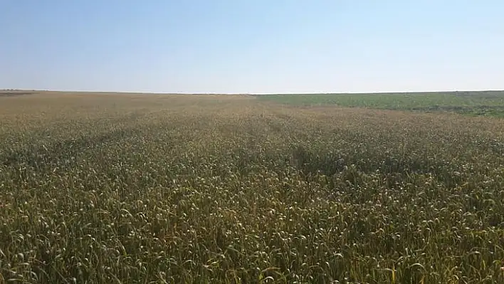 TÜİK rakamları Kayseri gerçeğini ortaya çıkardı! Düşündüren azalış!