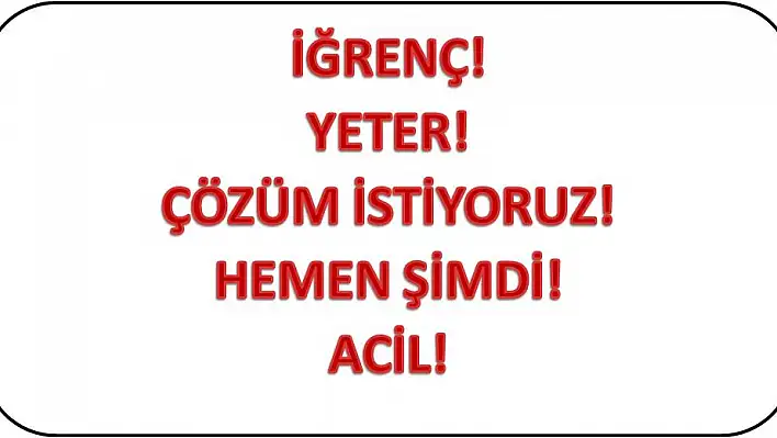 Türk Kadınlar Birliği isyan etti: Bu iğrençlikler ne zaman bitecek?