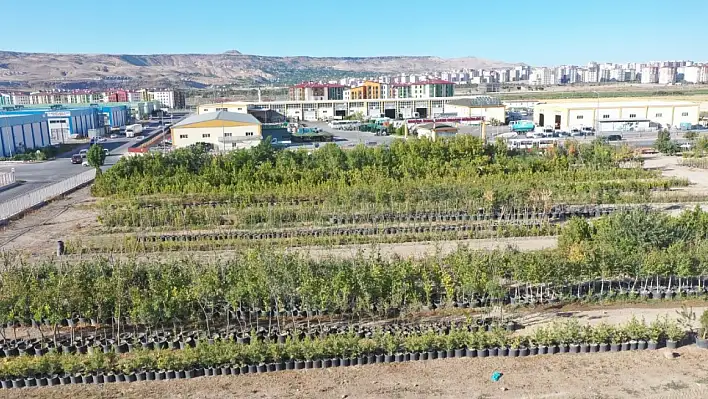 Türkiye'nin en büyük üretim ve lojistik üssü fidanlığı Kayseri'de