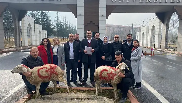 Türkiye Sağlık İşçileri Sendikası: Mücadele ettik, başardık!