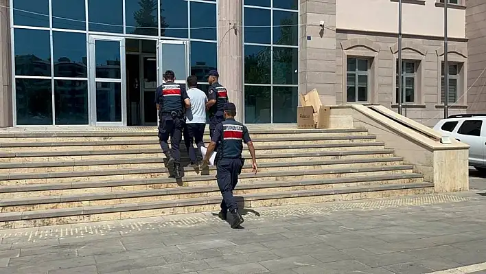 Türkoğlu'ndaki orman yangınında bir kişi gözaltına alındı