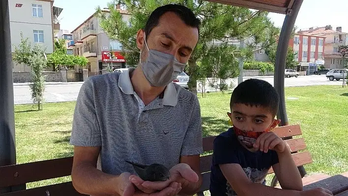 Uçamayan Ebabil kuşunu Hayvan Ambulansı'na teslim etti