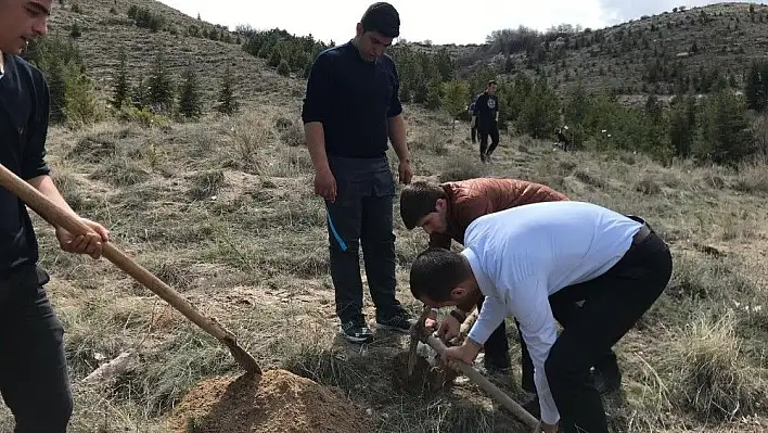 Ülkü Ocakları Alparslan Türkeş Hatıra Ormanı'na fidan dikti