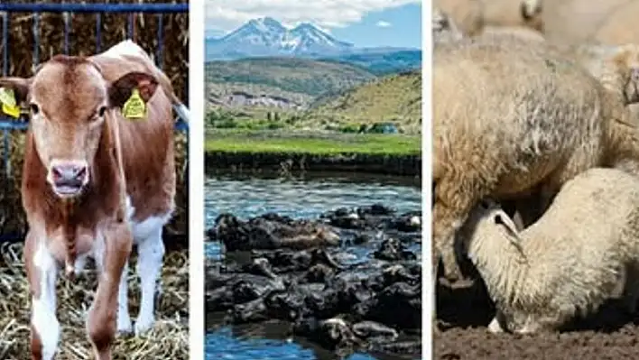 Üreticiler dikkat: 5 gün süreyle askıya çıktı