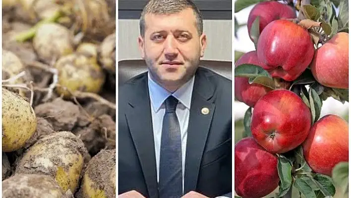 Üreticinin elinde kalan patates ve elma ile ilgili planınız var mı?