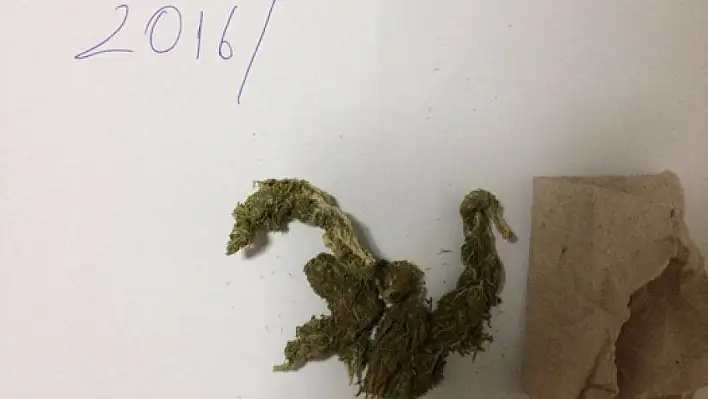 Uyuşturucu operasyonunda 1 tutuklama