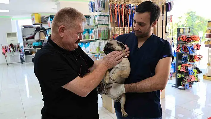 Başkan Köse'den, köpek besleyenlere uyarı