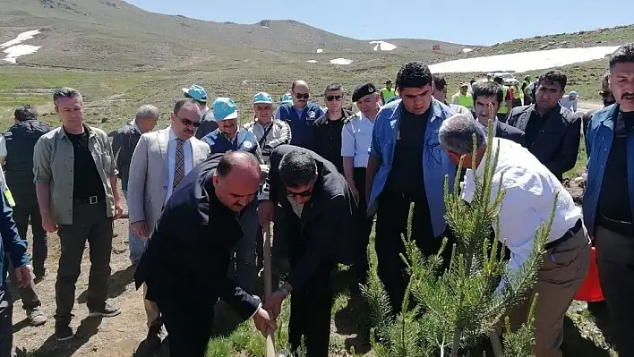 Vali Günaydın, 'Kayseri'nin Orman Varlıklarının Durumu İç Açıcı Değil'
