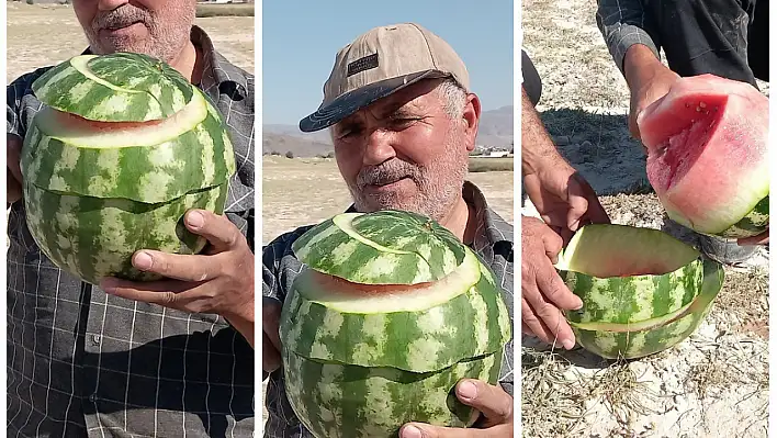 Var mı böyle karpuz kesen! Bu yöntemle bakın neye ihtiyaç duyulmuyor?