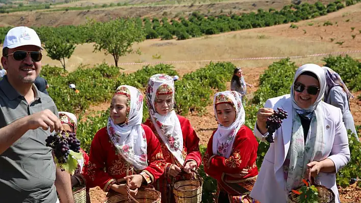 Vekil bağ bozdu