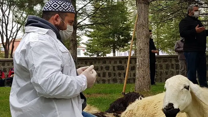 Virüsün defi için kurbanlar kesildi