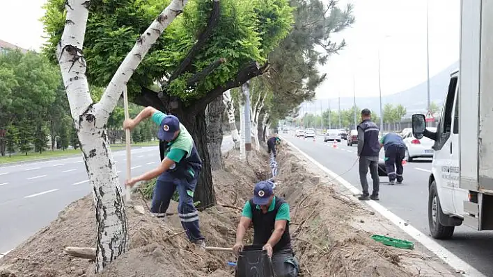 Yağmurlama ve damla sulama sistemi