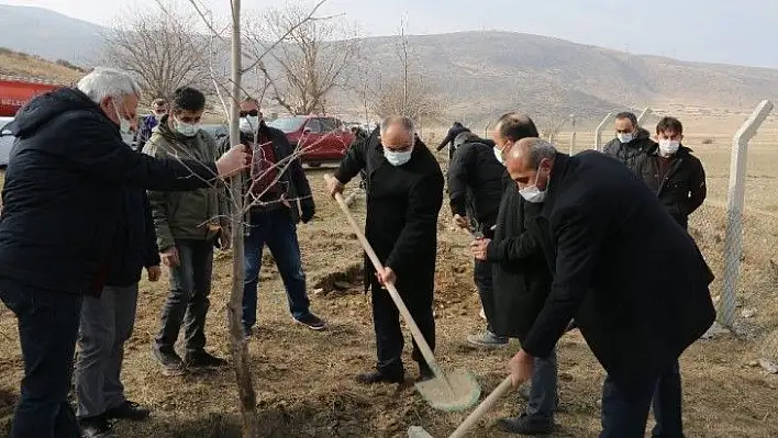 Yahyalı Belediyesi ağaçlandırma çalışmalarına devam ediyor