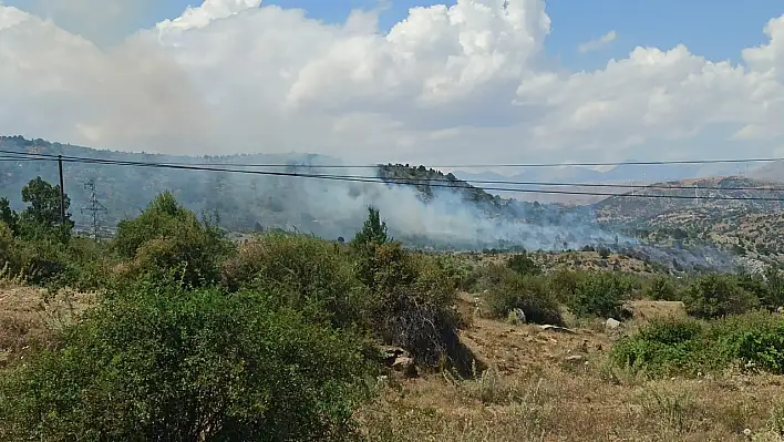 Yahyalı'da orman yangını!