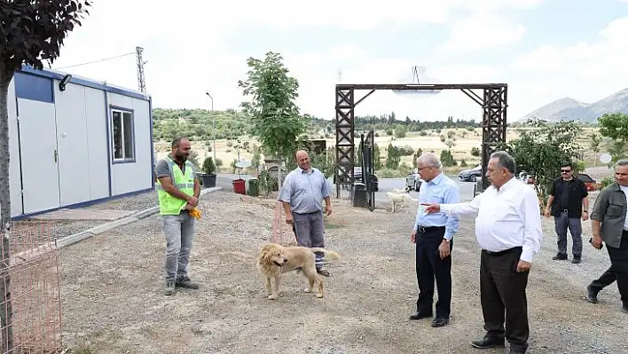 Yalçın, Patievinde minik dostlarla